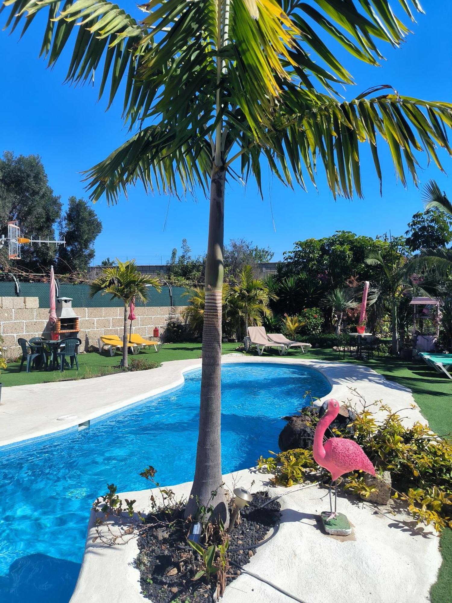 Villa Daita 2 Villa Daita 3 Granadilla De Abona Εξωτερικό φωτογραφία