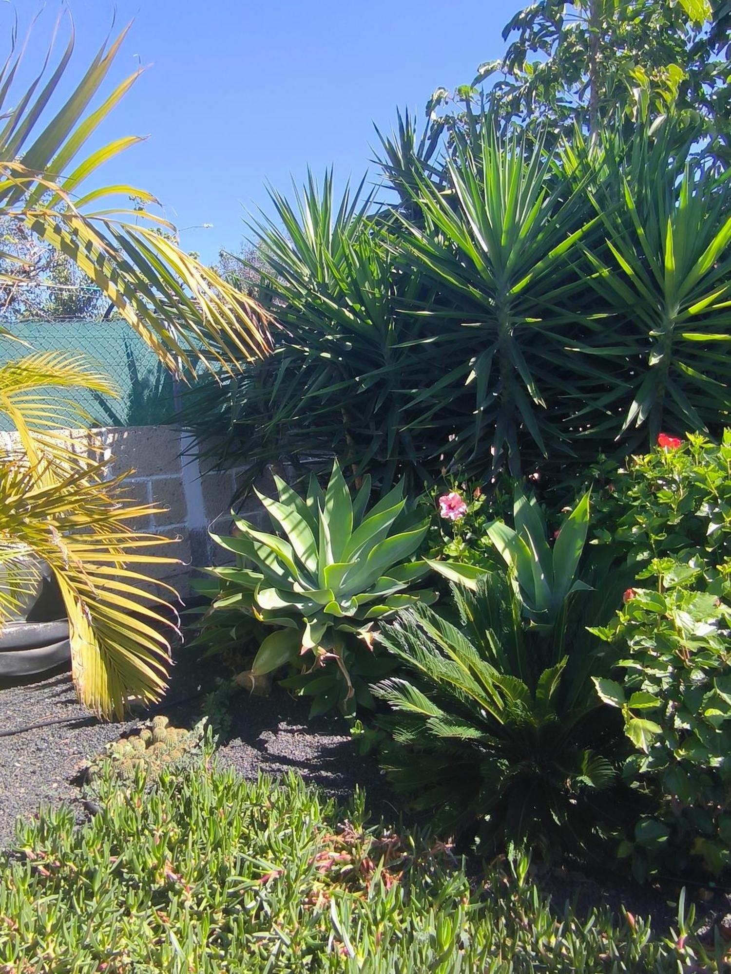 Villa Daita 2 Villa Daita 3 Granadilla De Abona Εξωτερικό φωτογραφία